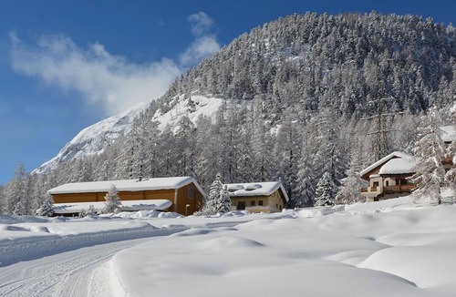 Pontresina Apartment | Chesa Formel - Stalla Engiadina by Interhome
