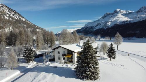 Sils-Maria Apartment | Chesa Suot Ovas