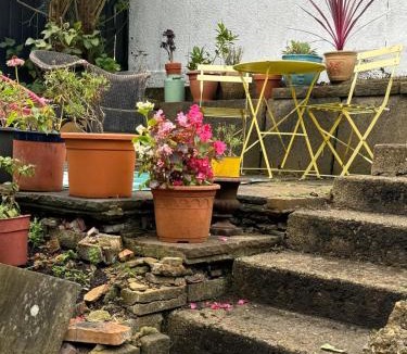 Chesham House | Chesham Studio