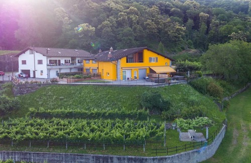 Giubiasco Apartment | Chestnut apartment surrounded by greenery