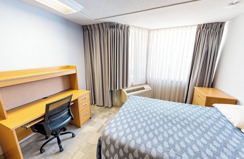 Bay Street Corridor Hotel | Chestnut Residence - Campus Accommodation