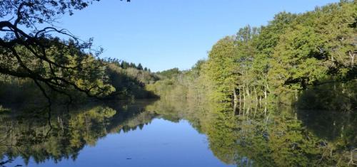 Haslemere Other | Chestnut Yurt