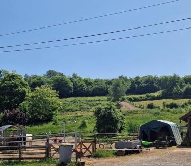 Fresse House | Chevaux au Soleil