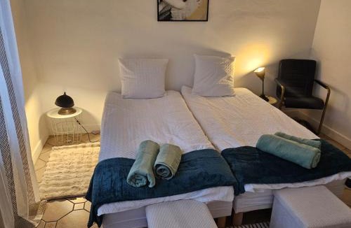 Tremblay-en-France Apartment | Chez Anna
