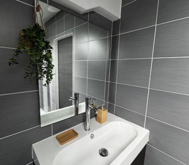 Mont d'Arene Apartment | Chez Antonella centre Reims