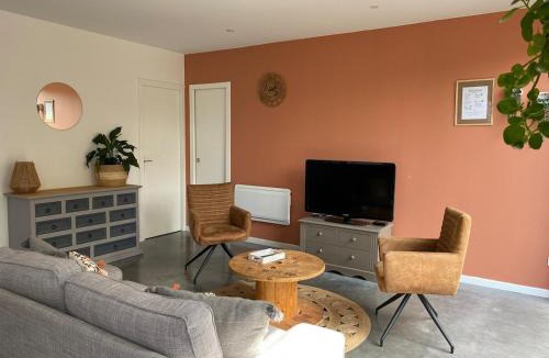 Frelinghien Apartment | Chez Aurel et Nico