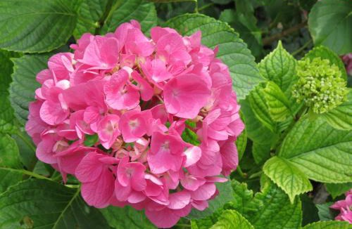 Saint-Fortunat-sur-Eyrieux Bed & Breakfast | Chez Cécile et Mickaël