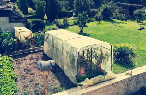 Brouvelieures House | Chez Catherine et Roger