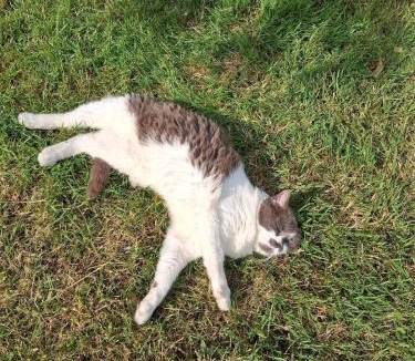 Nabringhen Apartment | Chez Claire et Olivier