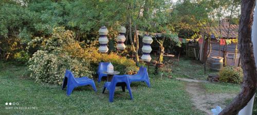 Ventenac-Cabardes House | Chez Claudie et Jacques