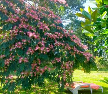 Tregunc Bed & Breakfast | Chez Coco