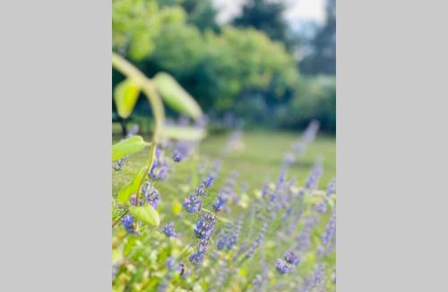 Mareuil-sur-Cher House | Chez Dedette