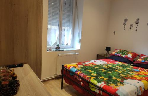 Bischheim House | Chez Dori Chambre privée