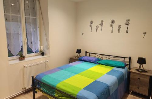 Bischheim House | Chez Dori Chambre privée