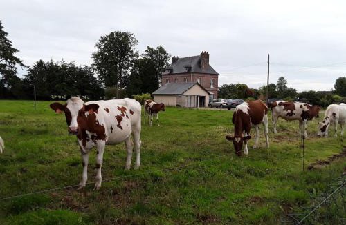 Bretteville-Saint-Laurent House | Chez DOUDOU entre terre et mer