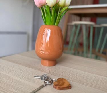 La Brillanne Apartment | Chez Elena