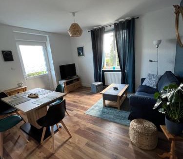 Selestat Apartment | Chez F & G terrasse privée dans jardin