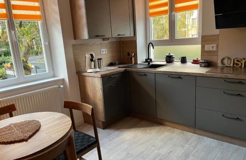 Selestat Apartment | Chez F & G terrasse privée dans jardin