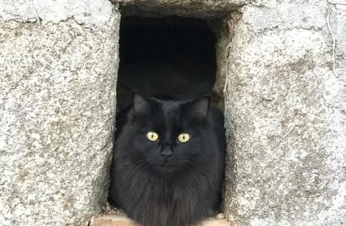 Ceyroux House | Chez Fenz Ferm et Gite