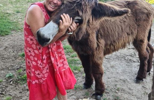 Ceyroux House | Chez Fenz Ferm et Gite