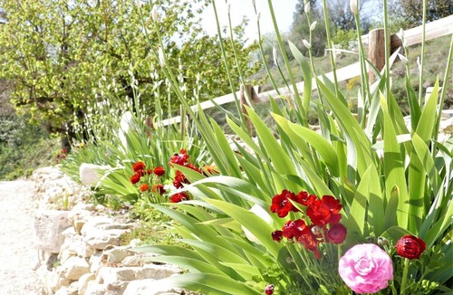 Viviers Other | Chez Gabriel et Julie