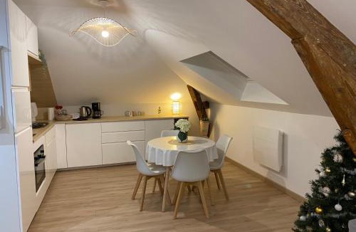 Charleville-Mezieres Apartment | Chez Gustave charmant T2, 4 min place Ducale