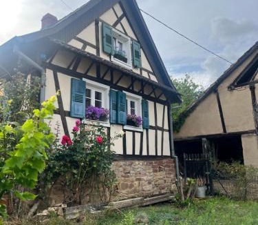 Morsbronn-les-Bains House | Chez Hanna et Michel