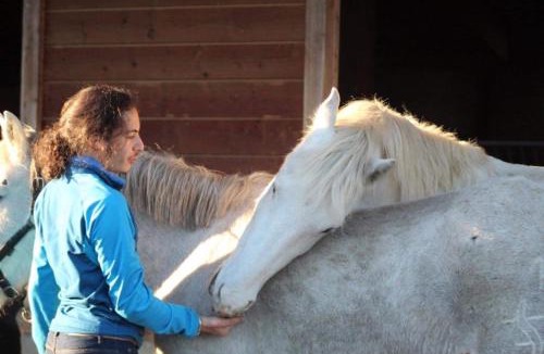 Chaux-Neuve Bed & Breakfast | Chez Hervé le Châtelet