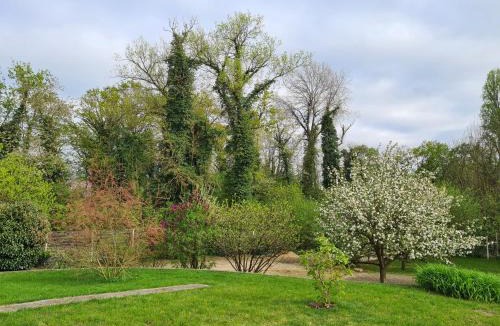 Bourg-et-Comin Apartment | Chez Jaja et Phiphi