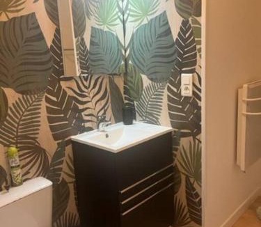 Mauleon Apartment | Chez Joseph