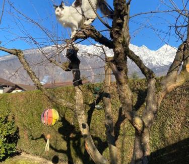 Outrechaise Bed & Breakfast | Chez Laurette et Louis