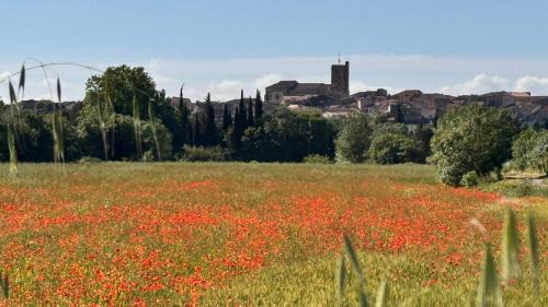 Servian House | Chez les artistes