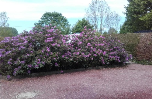 Ize House | Chez Lili