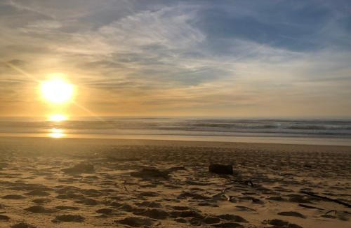 Leon House | Chez Loulou bis