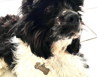 Buzet-sur-Tarn House | Chez Ludivine