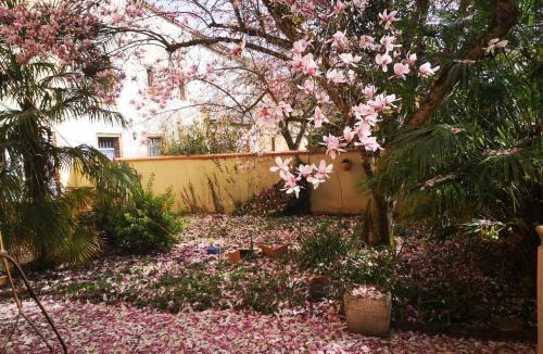Moissac Bed & Breakfast | Chez ma poule
