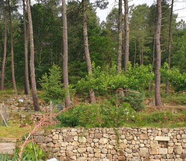 Rosieres Bed & Breakfast | chez Marcel