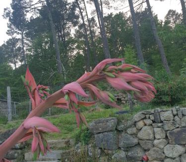 Rosieres Bed & Breakfast | chez Marcel