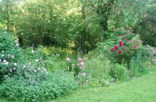 Balnot-sur-Laignes House | CHEZ MARGARET