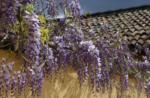 Astano Bed & Breakfast | Chez Marianne "chambres d'hôtes"