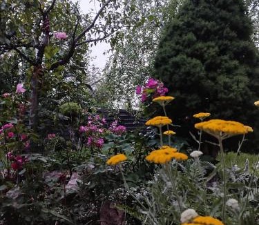 Amberieu-en-Bugey Apartment | Chez MariLou