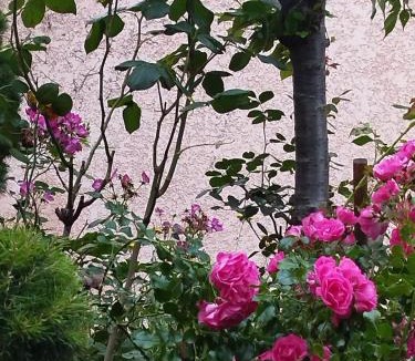 Amberieu-en-Bugey Apartment | Chez MariLou