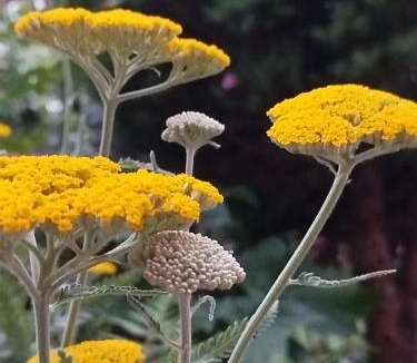 Amberieu-en-Bugey Apartment | Chez MariLou