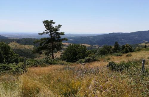 Vanosc Apartment | Chez Mary