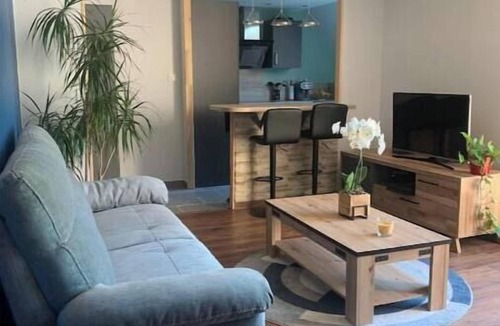 Kaysersberg Apartment | Chez Mathias bright apartment ~ private garage