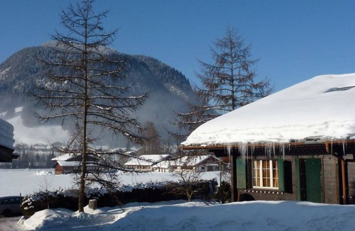 Saanen Apartment | Chez-Nous by Interhome