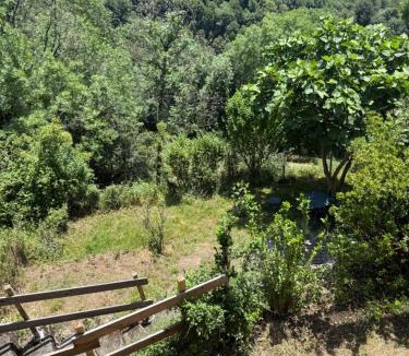 Melles House | Chez Pascale
