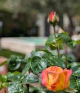 Nyons Villa | Chez Pascaline