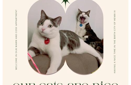 Dufau-Tourasse Bed & Breakfast | Chez Ramsés et Richelieu