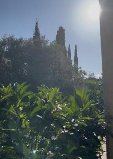 Teyran House | Chez RayMonde
